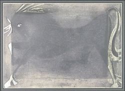 sjoerd_de_vries_paard